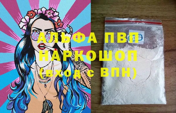 PSILOCYBIN Вяземский