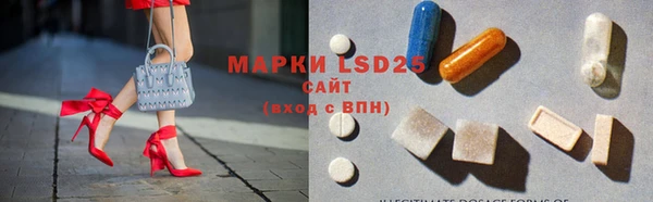 трава Наволоки