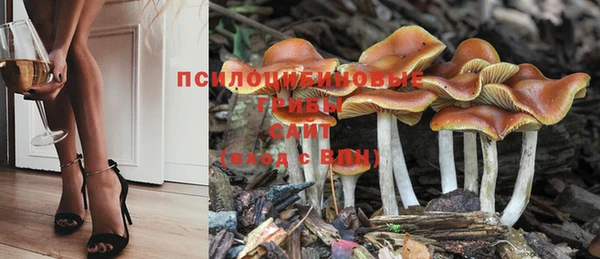 круглые Надым