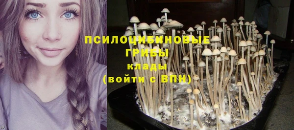 трава Наволоки